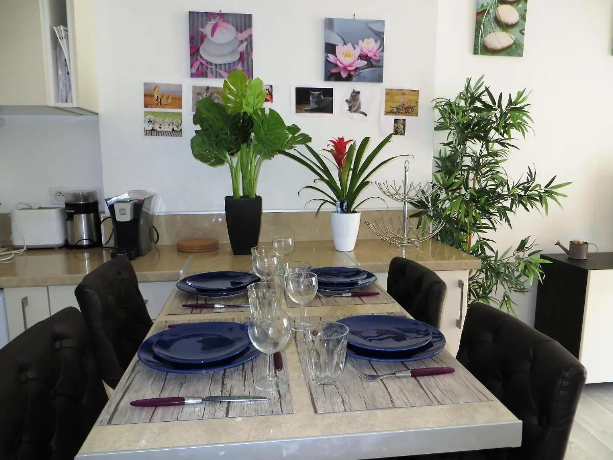 9 Avenue De Carras Apartment Nice